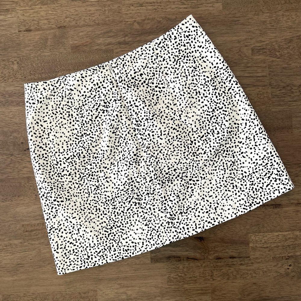 Urban Outfitters Black and White Mini Skirt